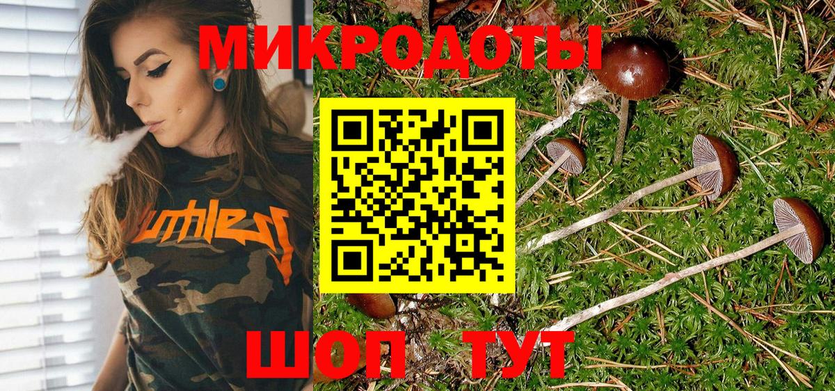 Ирбит  Галлюциногенные грибы прущие грибы  Вход с VPN 
